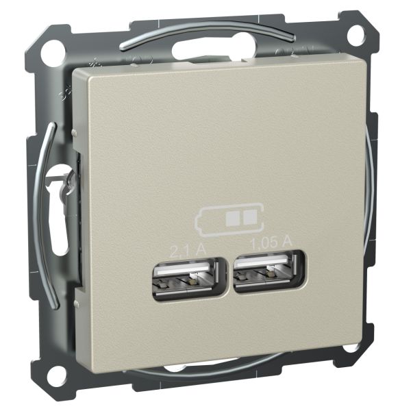 Schneider Electric Exxact WDE002928 Ladestasjon 2,1 A, type A Metall