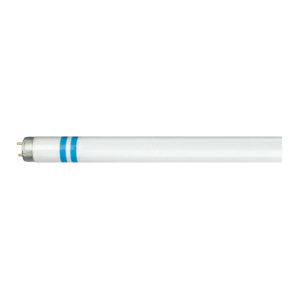 Philips MASTER TL-D Secura Lysrør G13 Kaldhvit, 3200 lm, 36 W