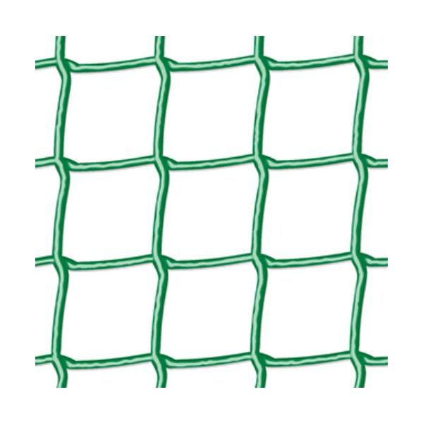 Nelson Garden 8064 Espaliernett plast, 1 x 2,5 m Maskestørrelse: 25 x 25 mm