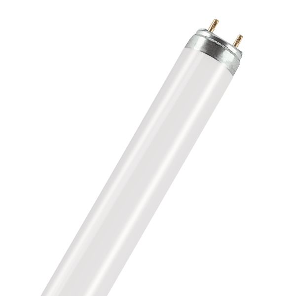 Osram Lumilux Natura Spesiallysrør for ferskvarer 36W, 1200 mm