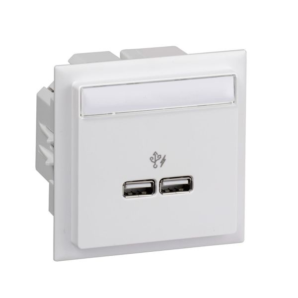 Schneider Electric INS60520 USB-lader 2 utganger Hvit