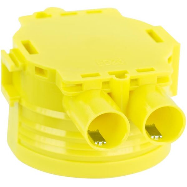 Gelia 1426019-2 Apparatboks gul, dobbelgips, inkl. låsefjær