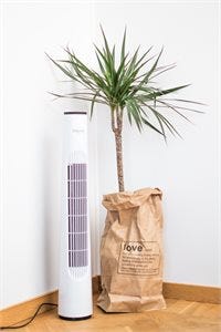 Termo Kaldluftsvifte Wind
