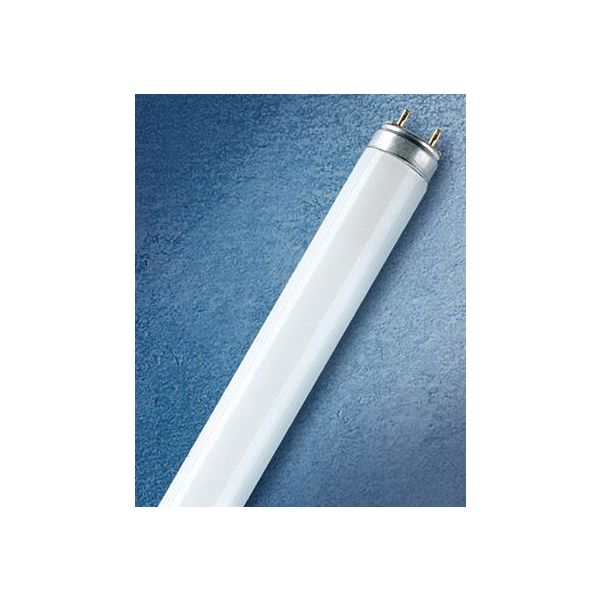 Osram FLUORA T8 Lysrør 36 W/77, G13, for dyrking
