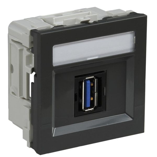 Schneider Electric INS64215 Multimedieuttak USB, med typeskilt Grå