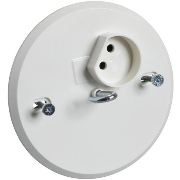 Schneider Electric 189504200 Lampeuttak ujordet, 1-veis, 2-polet, med krok