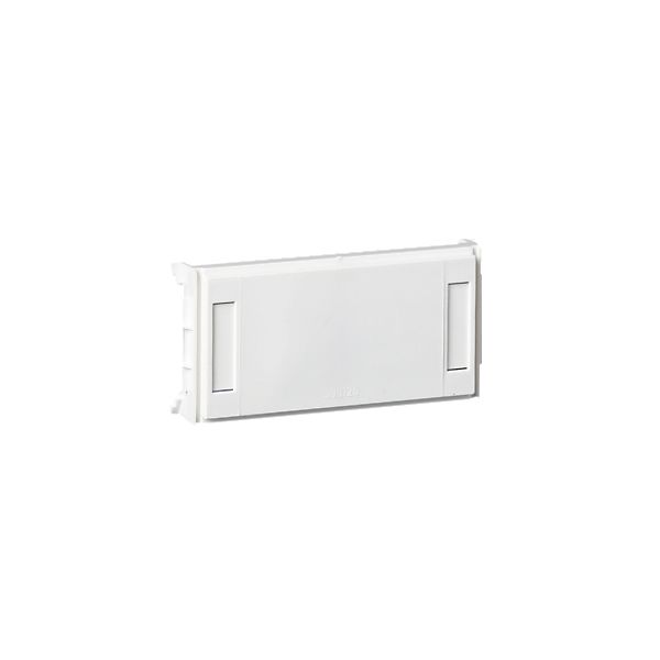 Schneider Electric 5971701 Blindbrikke sentral dekkplate, rett Med typeskilt