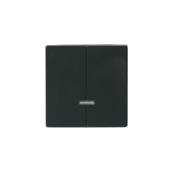 ABB Impressivo Midtplate for dobbeltdimmer Antrasitt