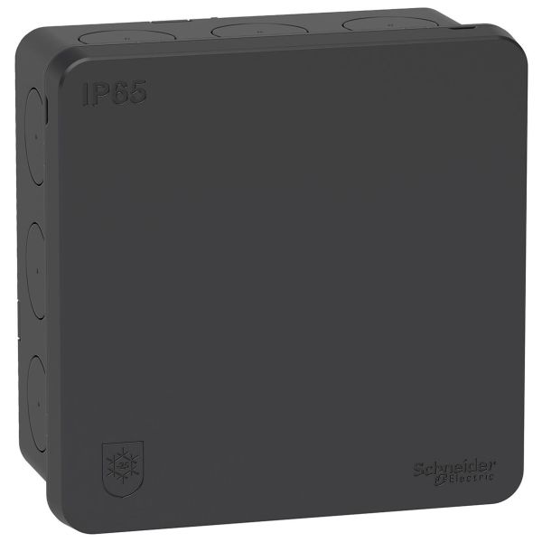 Schneider Electric IMT35336 Koblingsboks IP65, 2 K Antrasitt