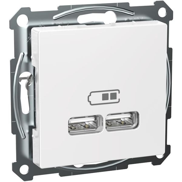 Schneider Electric Exxact WDE002926 Ladestasjon 2 USB, hvit