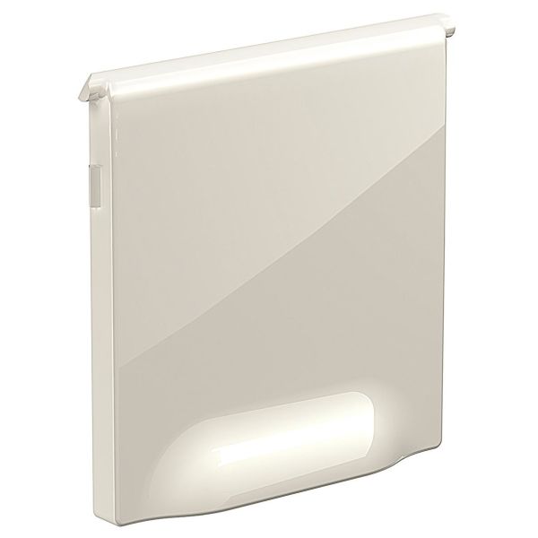 Schneider Electric INS64050 Støvbeskyttelse for RJ45-kontakt Hvit