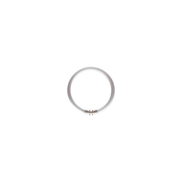 Philips MASTER TL5 CIRCULAR Lysrør 2GX13 Varmhvit, 1800 lm, 22,3 W