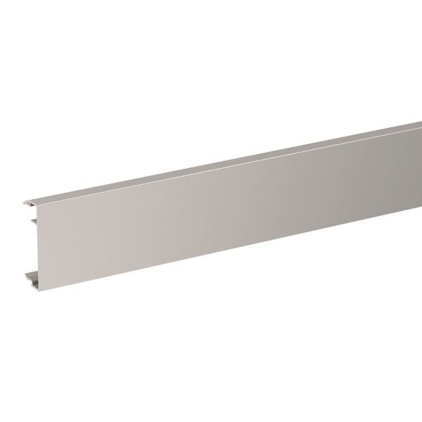 Schneider Electric INS13950 Front 50 x 2500 mm Aluminium/natur