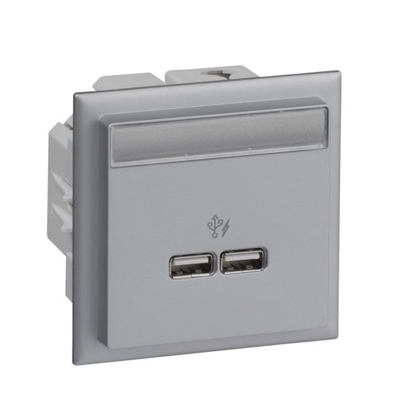 Schneider Electric INS60521 USB-lader 2 utganger Aluminium