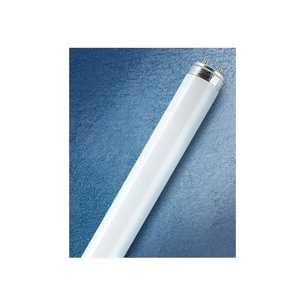 Osram LUMILUX T8 Lysrør 15 W/840