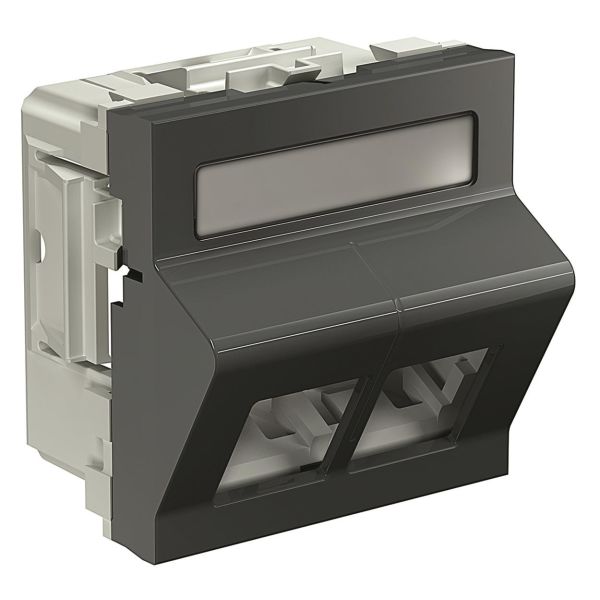 Schneider Electric INS64103 Datalokk 2 koblinger Grå
