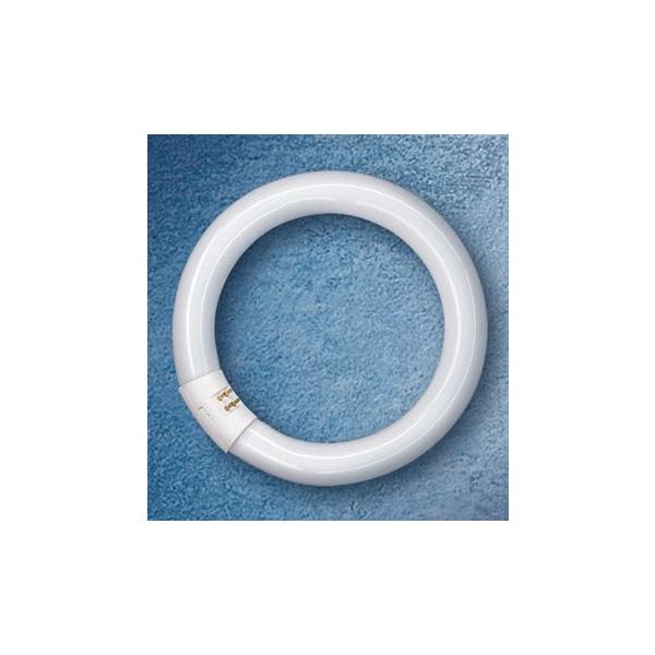 Osram LUMILUX T9 C Sirkellysrør G10Q 22 W/827