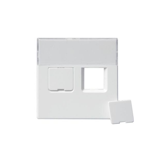 ABB 1819-81 Midtplate 2 x RJ45 Antrasitt