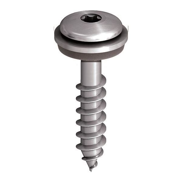 Ejot 850349 Fasadeskrue lavprofil, A2 4,9 x 38 mm, 250-pakning Med skive