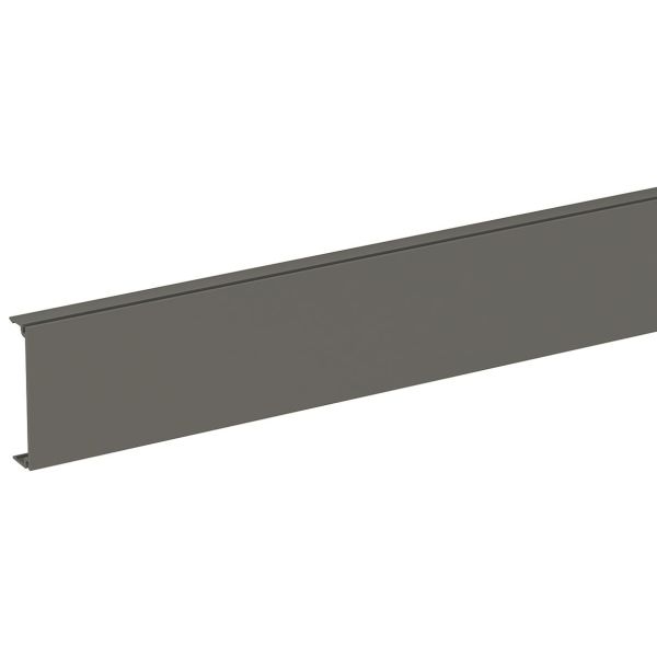 Schneider Electric INS12901 Front 50 x 2500 mm Plast/grå
