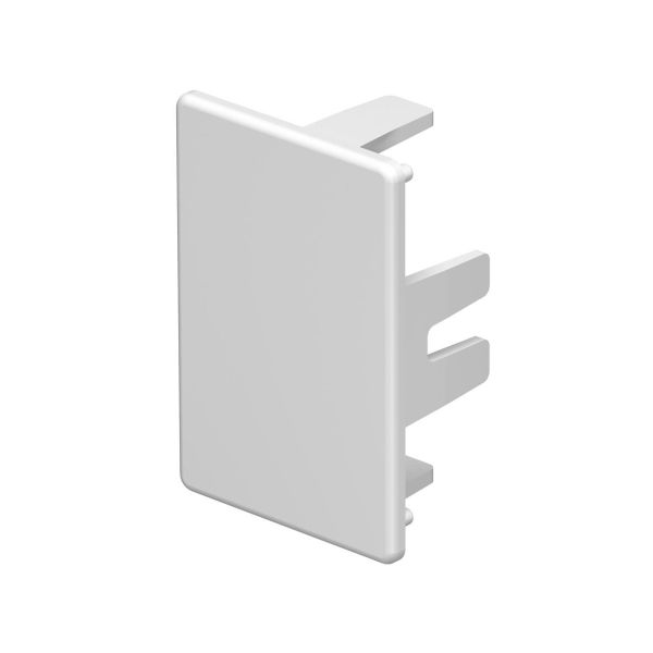 Obo Bettermann 6175554 Endestykke halogenfri, hvit 45 x 30 mm