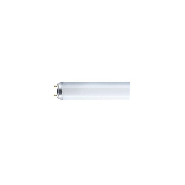 Osram Lumilux Plus Lavenergilysrør G13 10 W, 827
