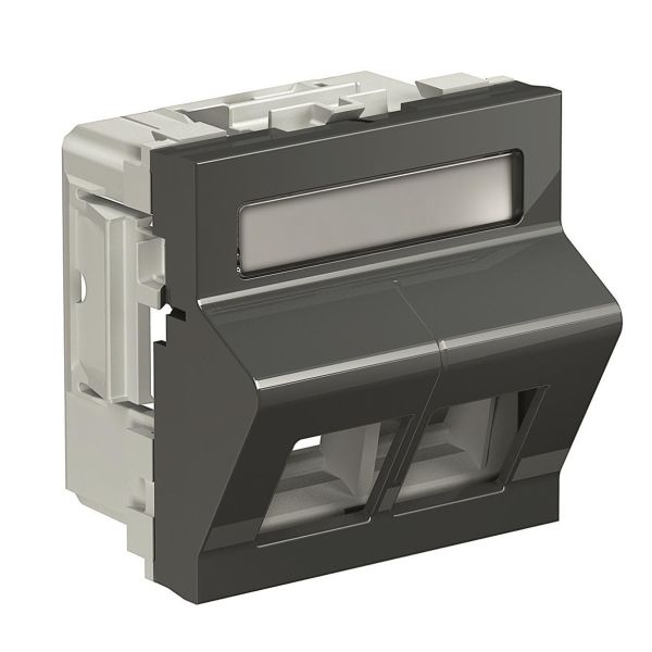 Schneider Electric INS64113 Datalokk 2 koblinger Grå