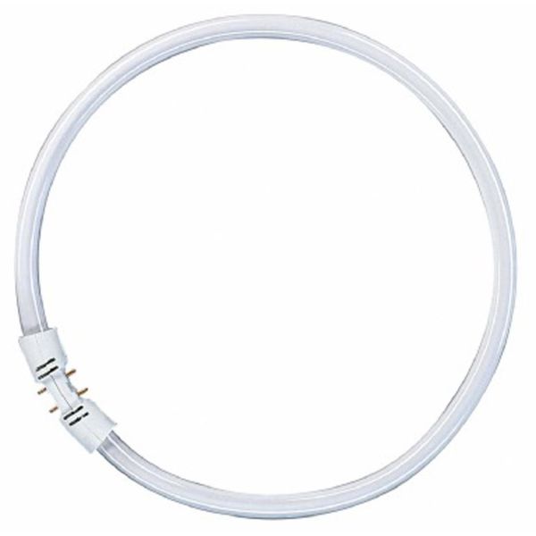 Osram Lumilux T5 FC Sirkellysrør 840 22W