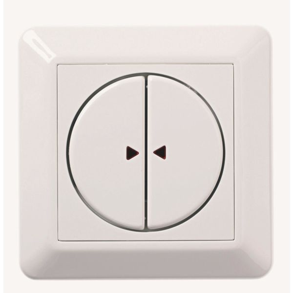Elko EKO03979 Trykknapp 24 V AC/30 V DC, 400 mA 2-polet
