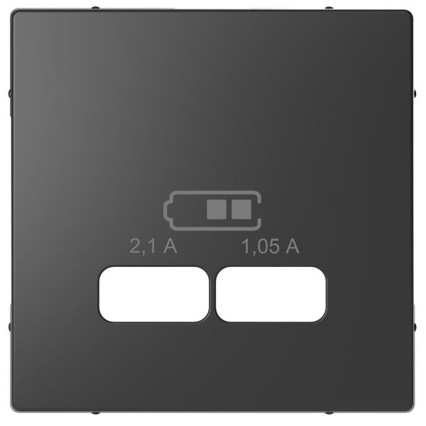 Schneider Electric MTN4367-6034 Midtplate 2xUSB Antrasitt