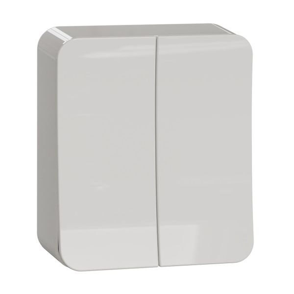 Schneider Electric Exxact Strømstiller 250 V, utenpåliggende Dobbeltrapp