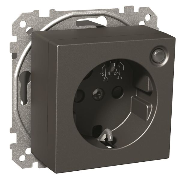 Schneider Electric Exxact Timer 2-polet, med 1-veisuttak Antrasitt
